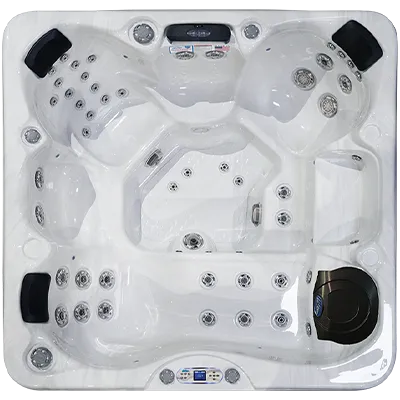 Avalon EC-849L hot tubs for sale in British Columbia